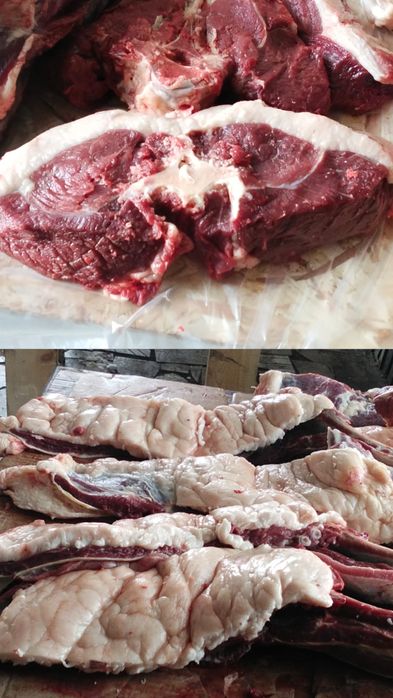 Продается мясо конины !