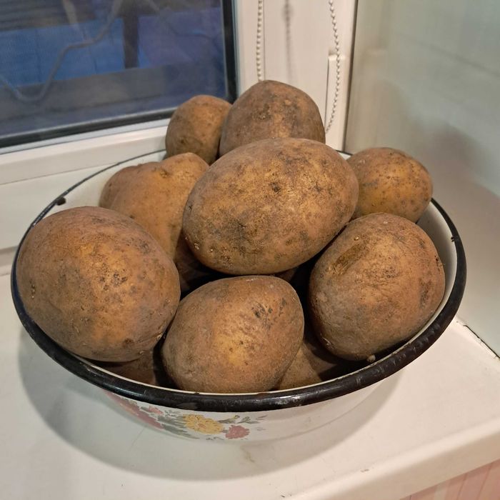 Картофель вкусный на еду.