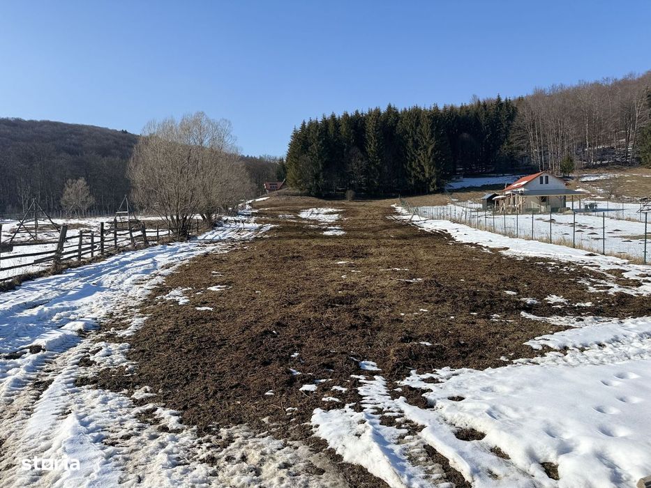 Teren intravilan 4521mp lângă pădure-valea Doftanei -Calea Brasovului