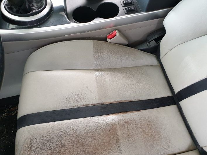 Polish si Detailing