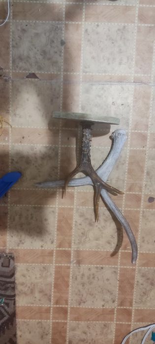 Рога-вешалка настенная