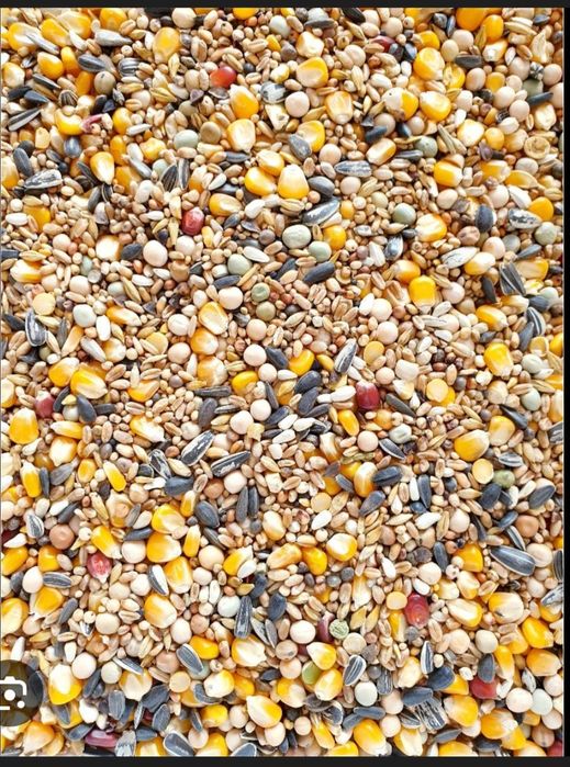 Mancare porumbei 20kg sac de hârtie