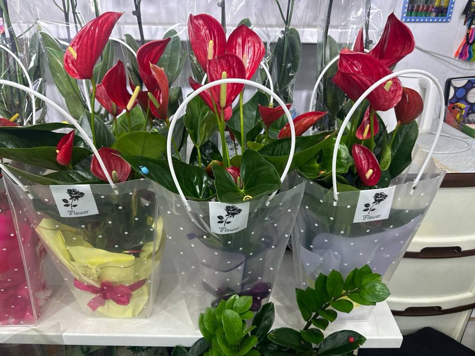 Sovg'aga berish uchun gullar