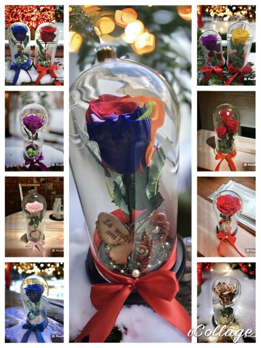 Trandafiri criogenati ursuleti in cutie cutii aranjament cadoul ideal