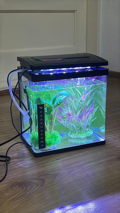 Vand acvariu 6L+pompa, filtru si plante artificiale