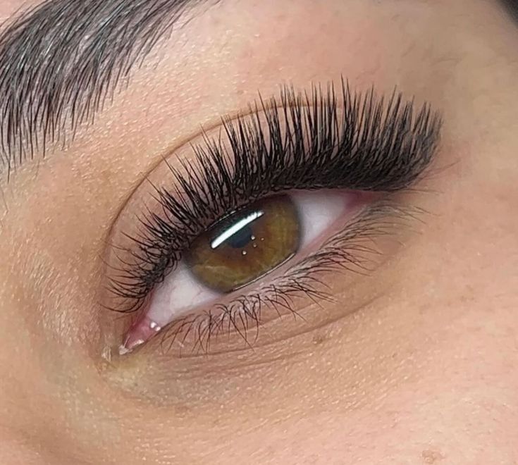 Gene fir cu fir Russian Soft Mega Foxy Cat