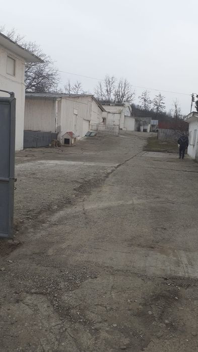 Oportunitate: Fermă Păsări Ouătoare (Hală Utilată Complet), Casă și Iaz Populat