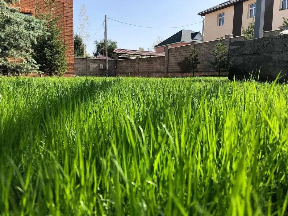 Газон Автопалив жұмысқа кепілдік 100%