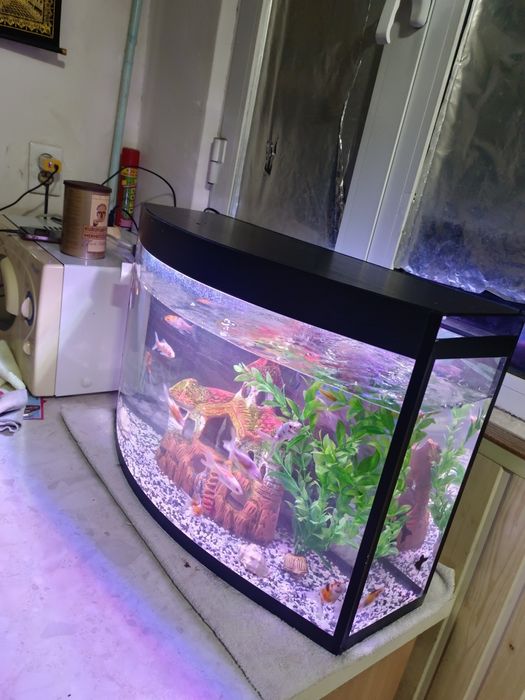 Avalniy Akvarium komplekt 60Litr