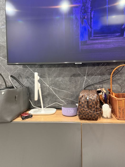 Алиса станция мини