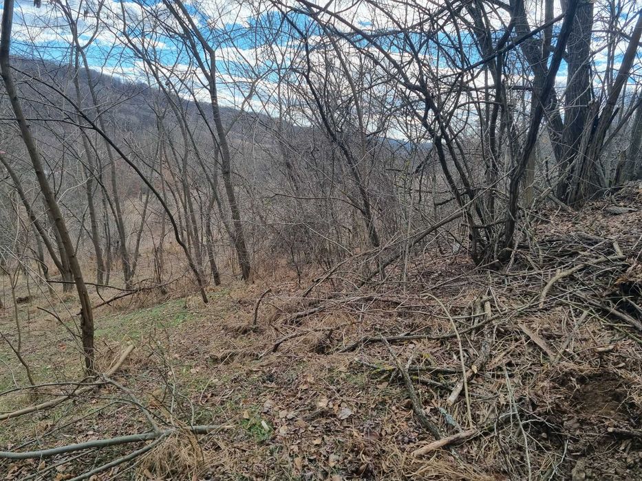 Teren extravilan si intravilan de vanzare in Valcea, Opatesti