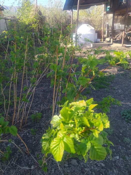 Продам хороший дом