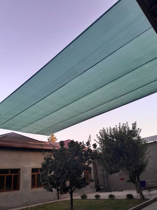 Сояа сетка гаряанта