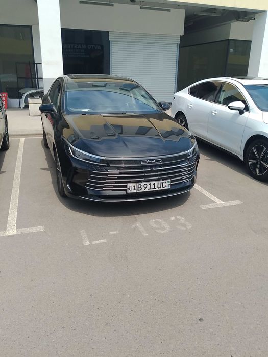 Chazor 55 taligdan 120 taliklar bor