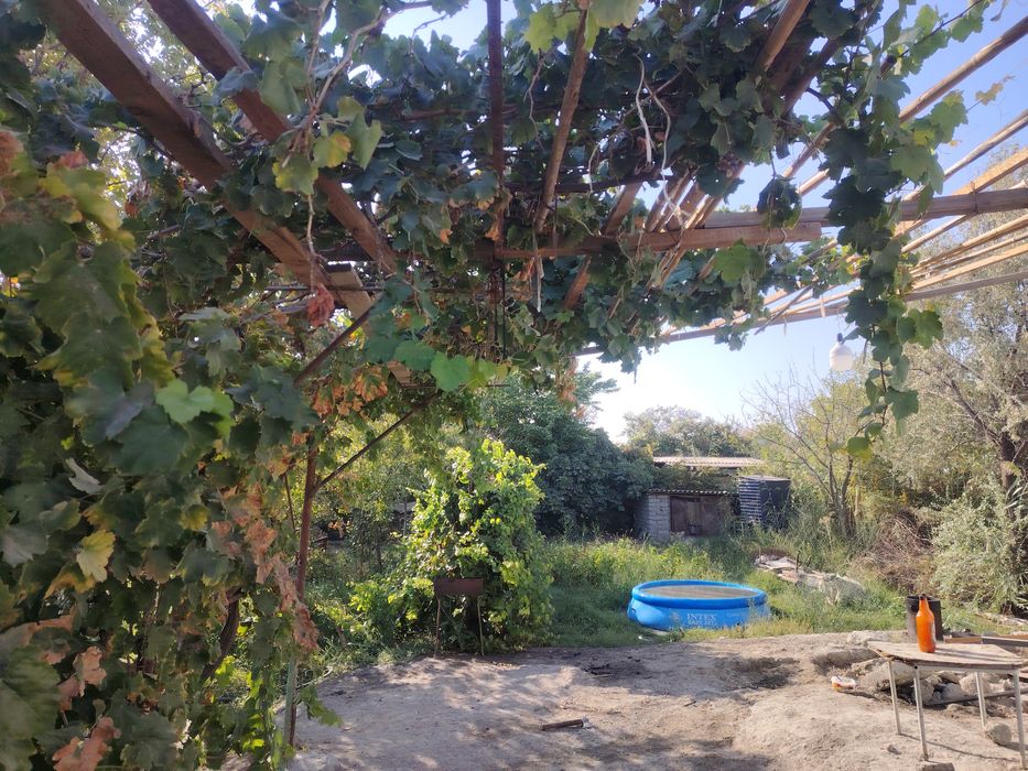 Продам дачу сазанчик