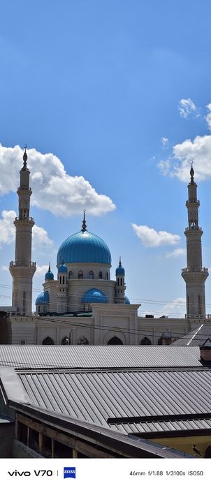 Uchastka svoya 2 etajni s podvalom