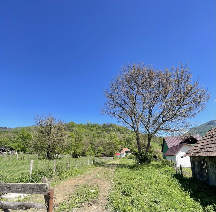 Vand casa veche Ocolis, jud. Alba. 2835 mp teren