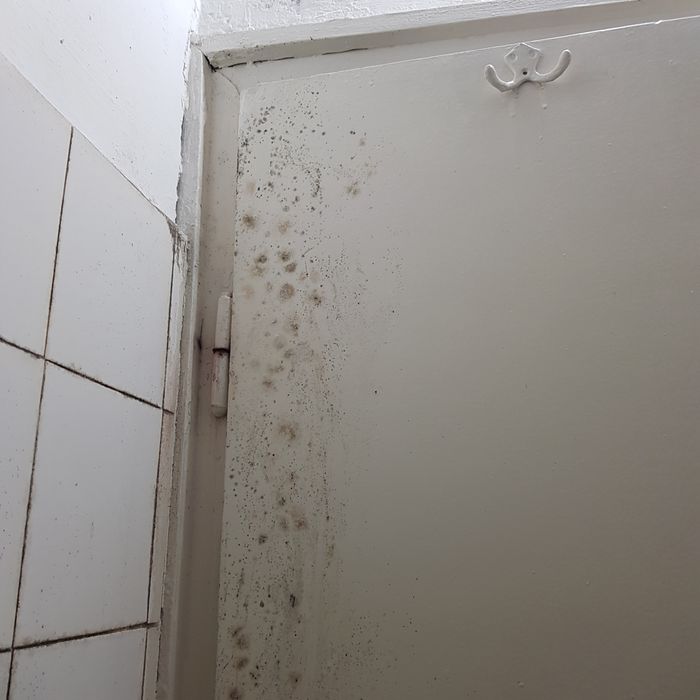 Почистване на домове