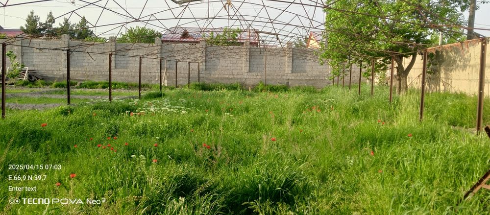 Yer uchastkasi sotiladi 6 sutx dakument bor