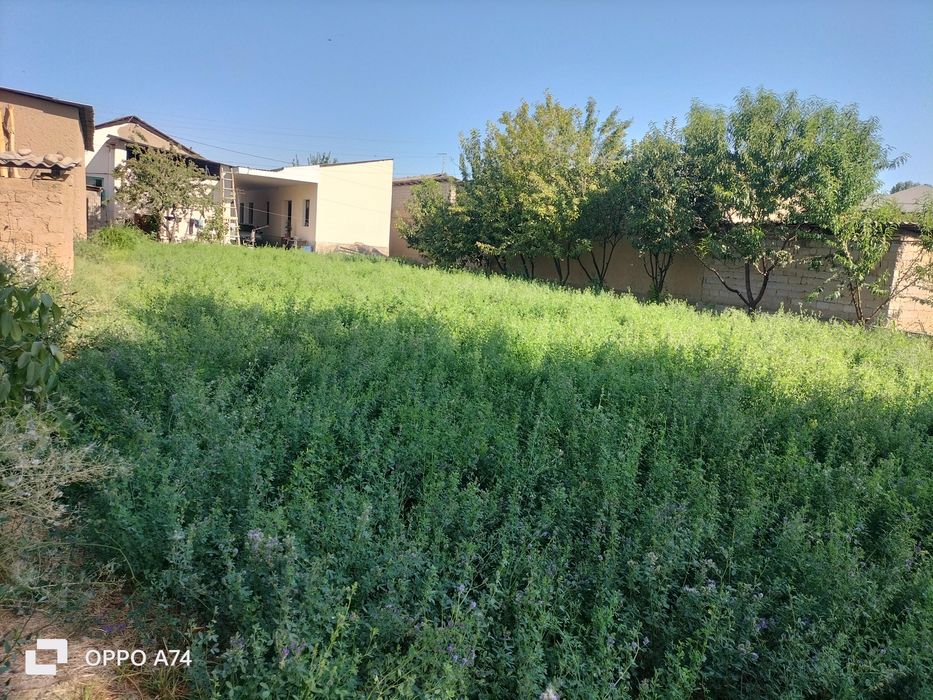 Yer sotiladi 4 sotix