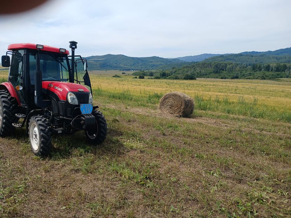 Продам сено, урожай 2025 г