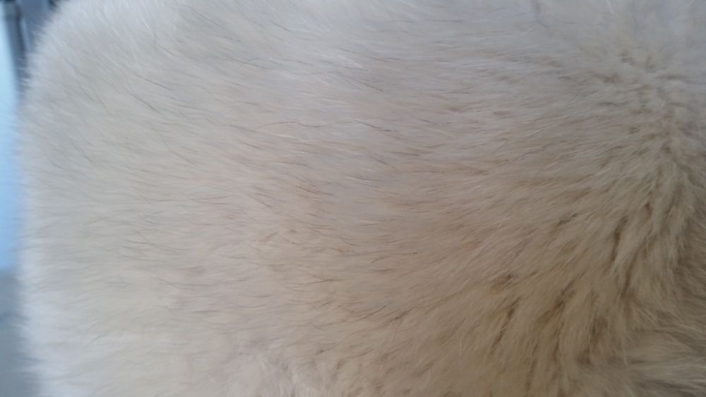 Натуральный песец