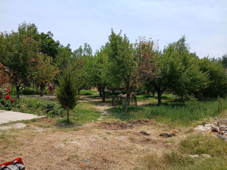 20 sotix Uy sotiladi  samarqand jomboy