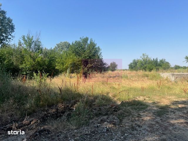 Teren Clinceni- Ordoreanu- langa Dig.