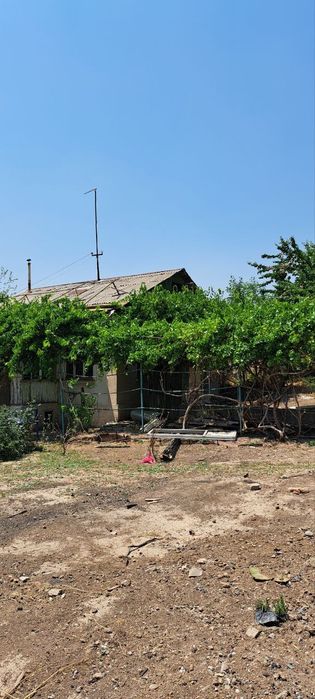 Навбахор Дача 6 соток от Ташкента 20-км Рядом Янгибазар Паркент Срочно