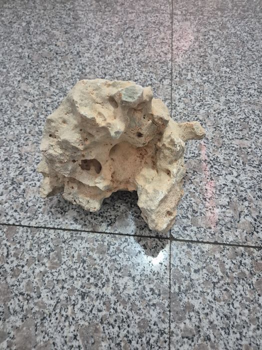 Piatra decorativa acvariu