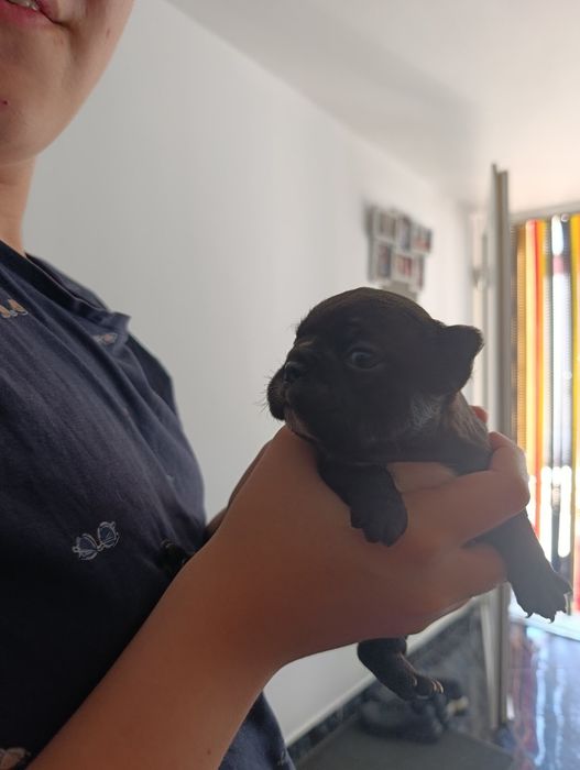 Căutăm o căsuță noua călduroasa