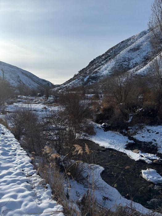 Продам дом 12соток