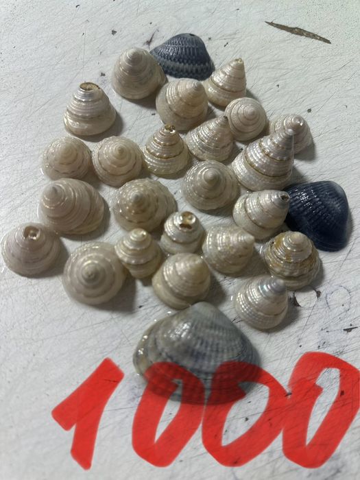 Продам аквариум со всеми аксессуарами