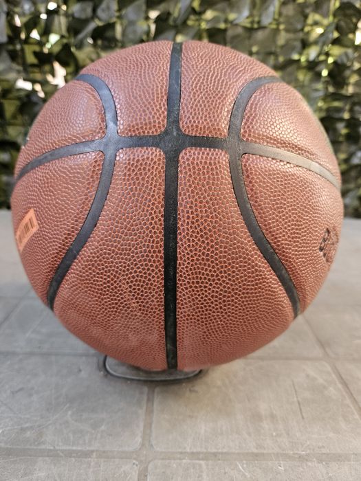 Minge basket Wilson nba