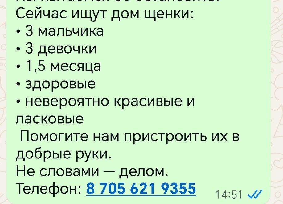 Подарите дом малышам.