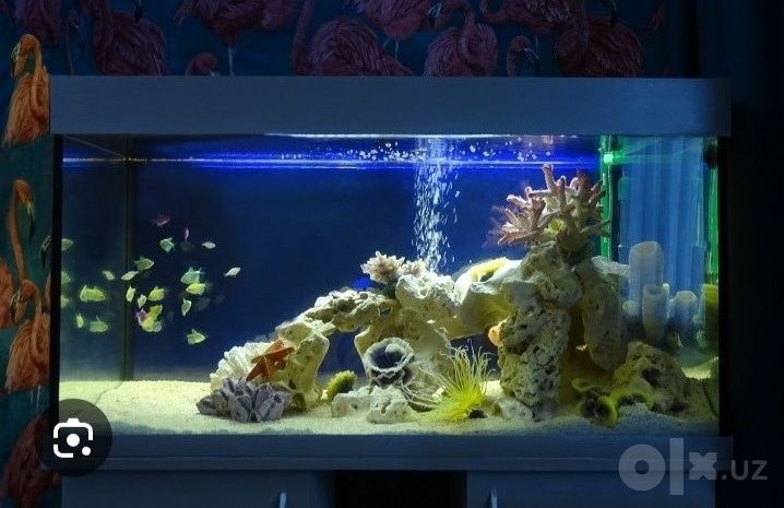 Акварим ясаш ремонт хизмати