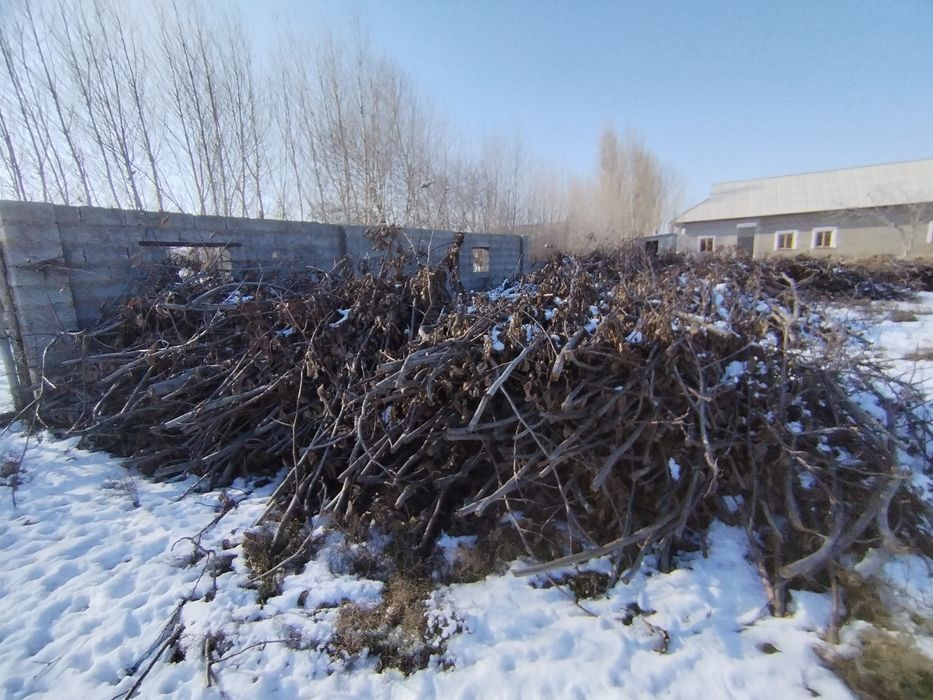 утин вассалик йогоч