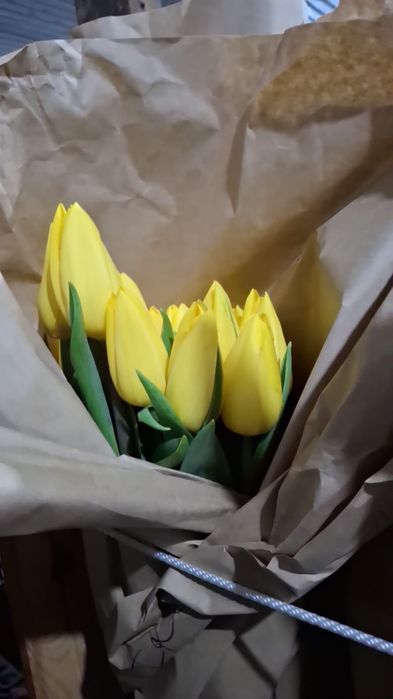 Тюльпаны оптом к 8 марта