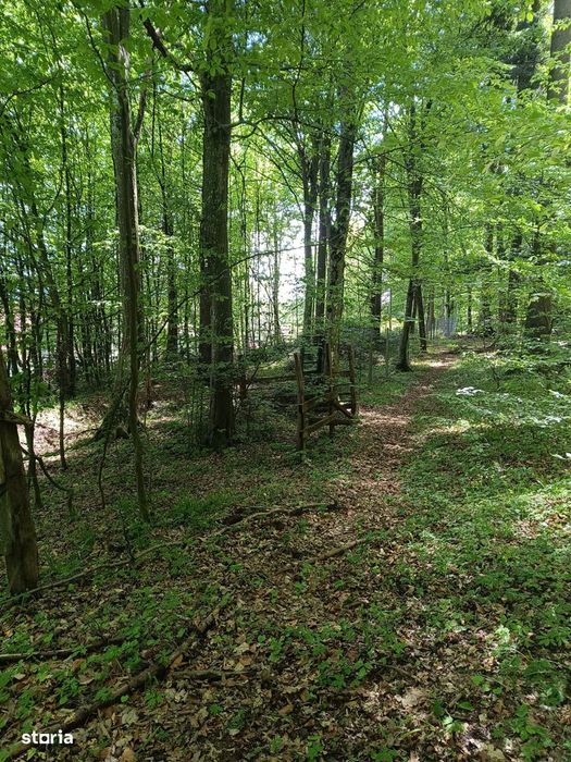 Lacuri Vulcan Brasov - Premium in turism-teren 6800mp