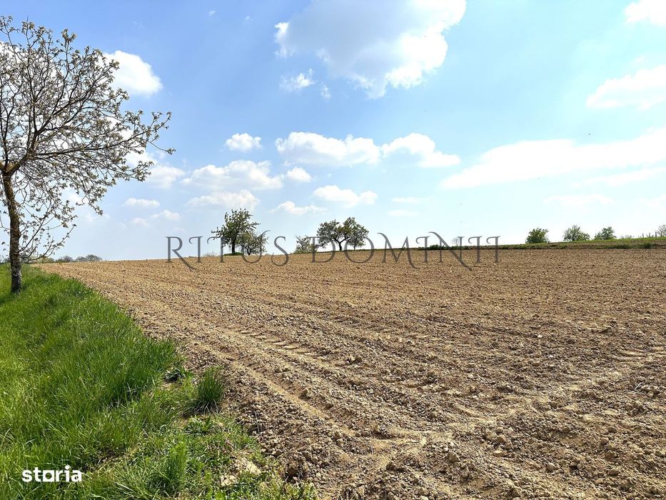 Teren Intravilan de Vânzare, Cetariu, 5450mp