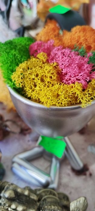 Декорации от жив скандинавски мъх