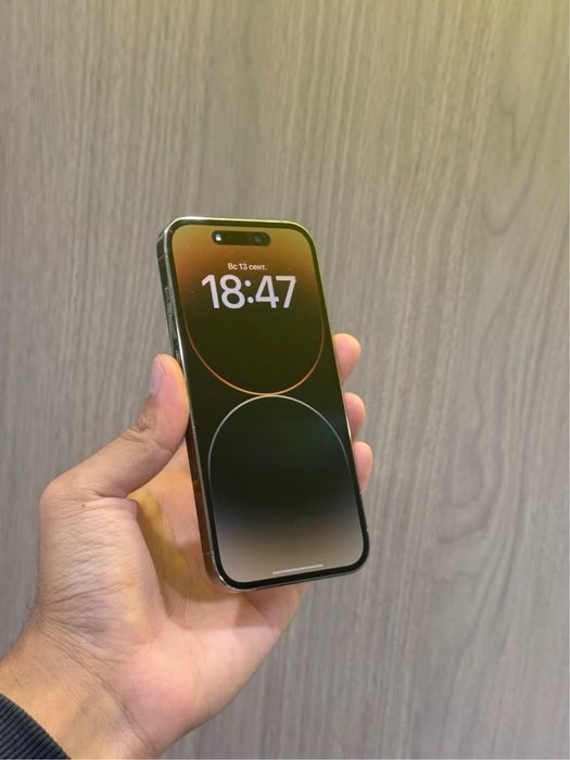 Iphone 14 Pro 256GB 100%