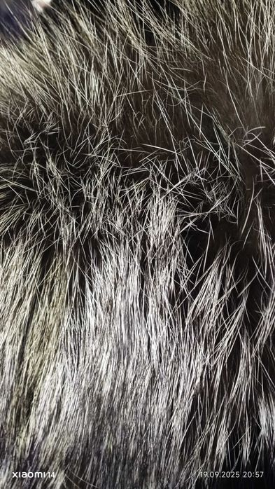 Продам шубу молодежную