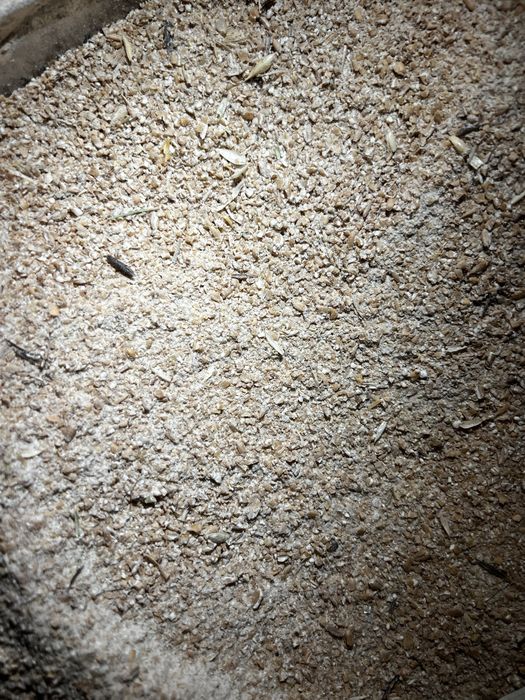 Реализуем корма для дивотных