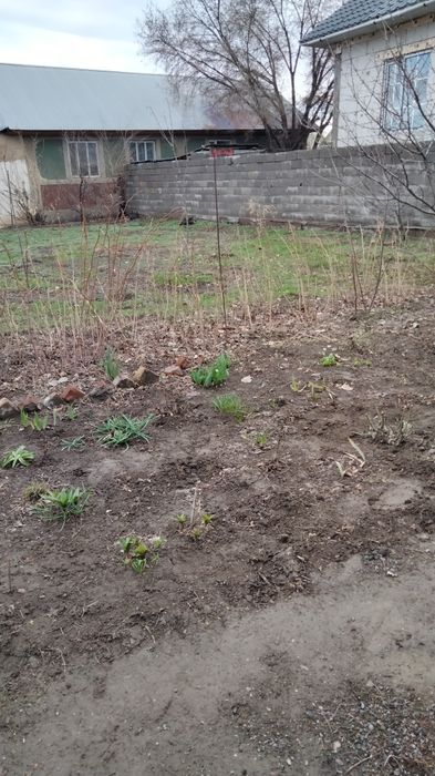 Продам дом срочно