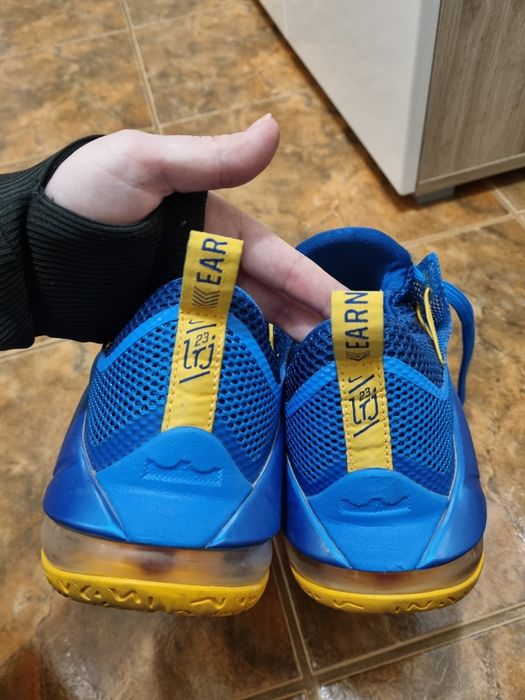 Nike LeBron 12 Low Entourage 2015