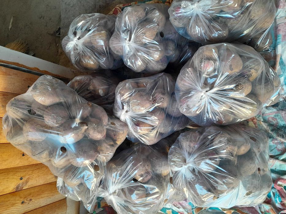 Червено Цвекло на едро