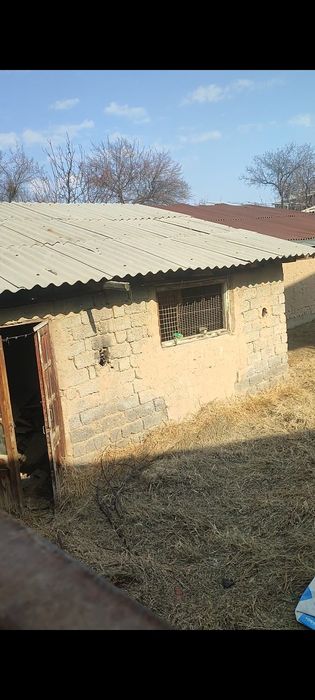 Назарбек Харакат маҳаллада 3,6 сотқ ер сотилади 1 сотиқ ер 16000 уе