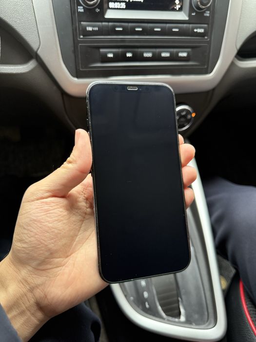 iPhone 12 Pro Max 256Gb