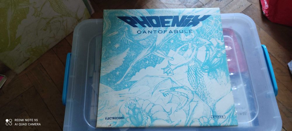 Discuri vinil Phoenix
